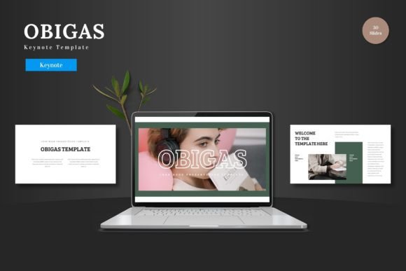 Evaluating the Obigas Keynote Template for Professional Presentations
